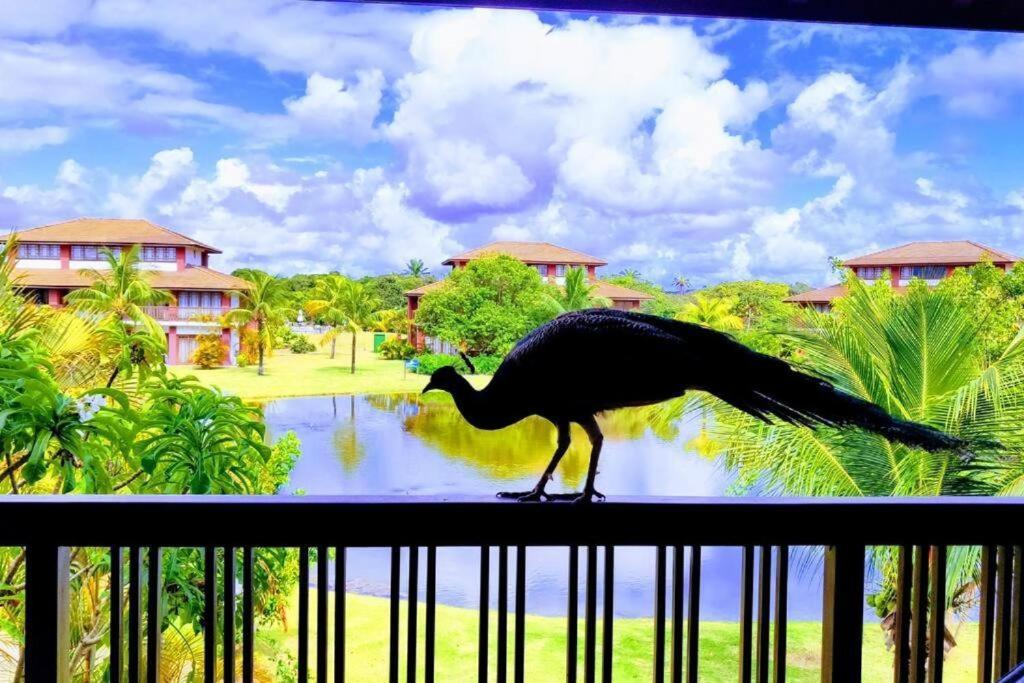 Piscinas Naturais Village Furstberger Praia do Forte Ngoại thất bức ảnh