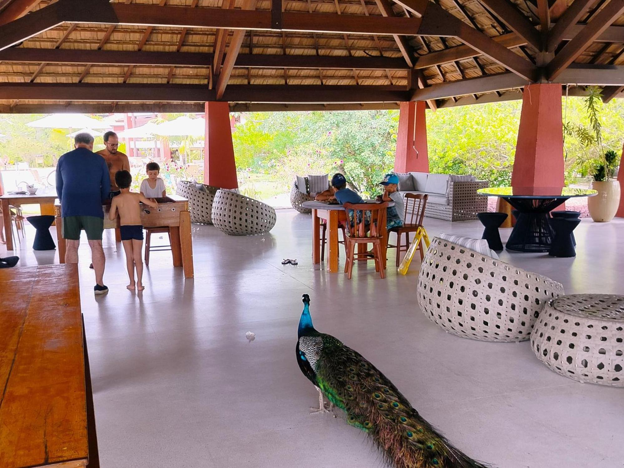 Piscinas Naturais Village Furstberger Praia do Forte Ngoại thất bức ảnh
